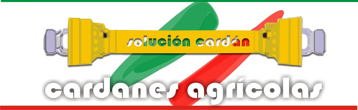 Solución Cardan